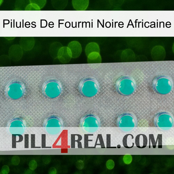 African Black Ant Pills 28